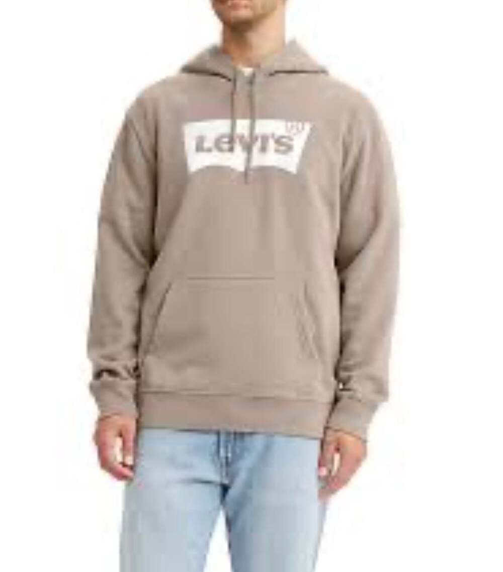 Levi's Men's Standard Graphic Batwing Logo Pullover Hoodie